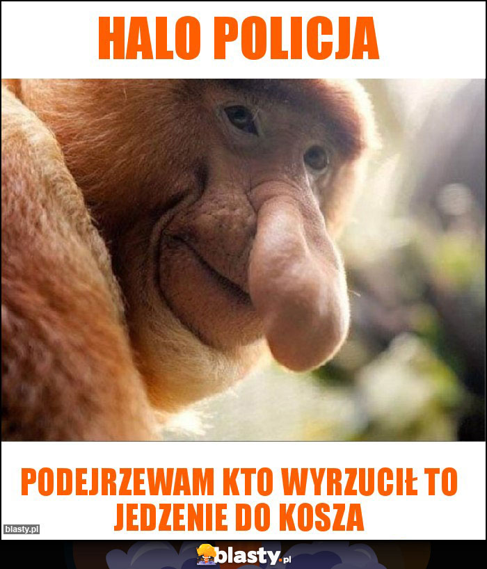 Halo policja