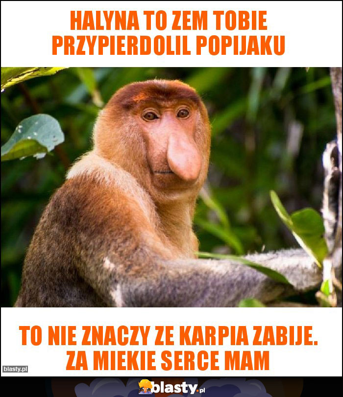 Halyna to zem Tobie przypierdolil popijaku