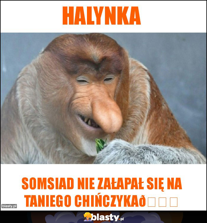 Halynka