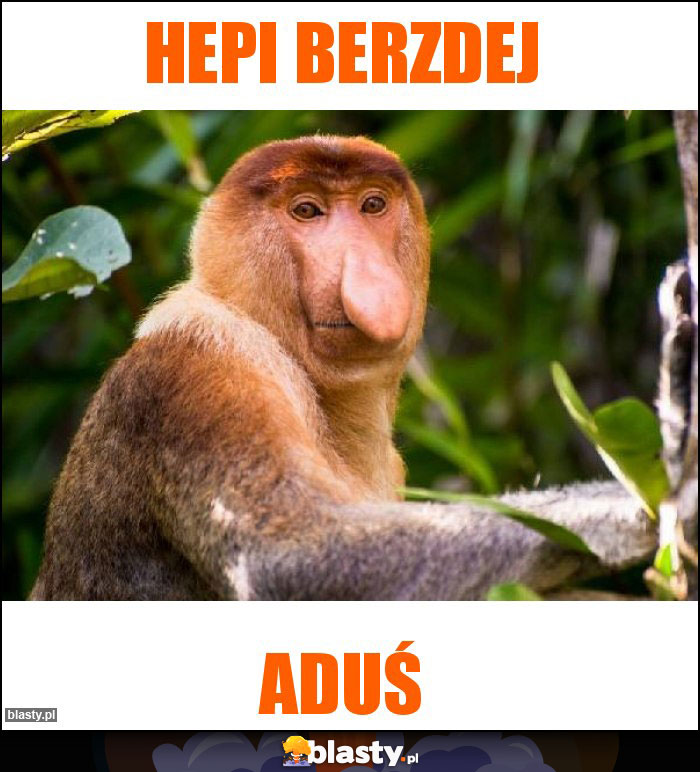 hepi berzdej