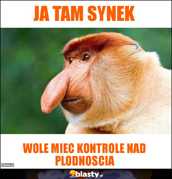 Ja tam synek