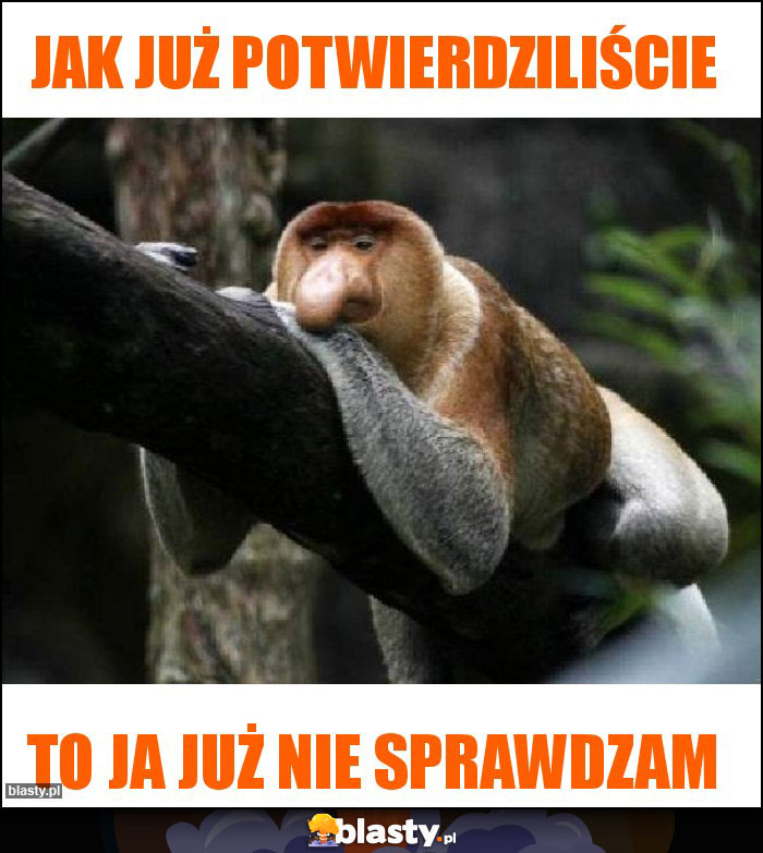 Jak już potwierdziliście