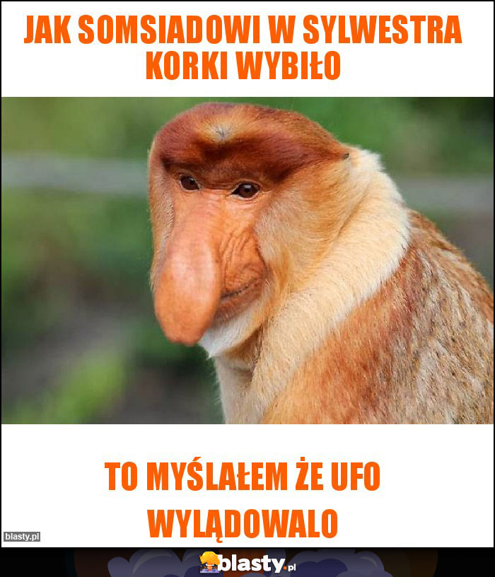 Jak somsiadowi w sylwestra korki wybiło