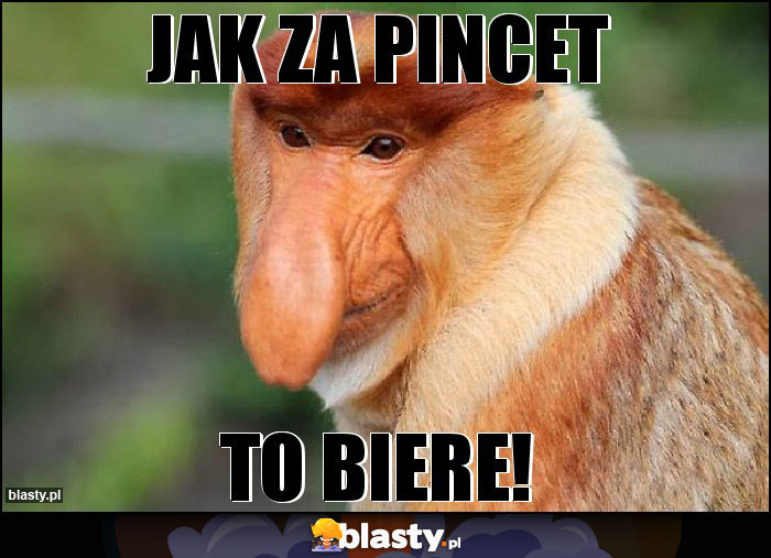 JAK ZA PINCET