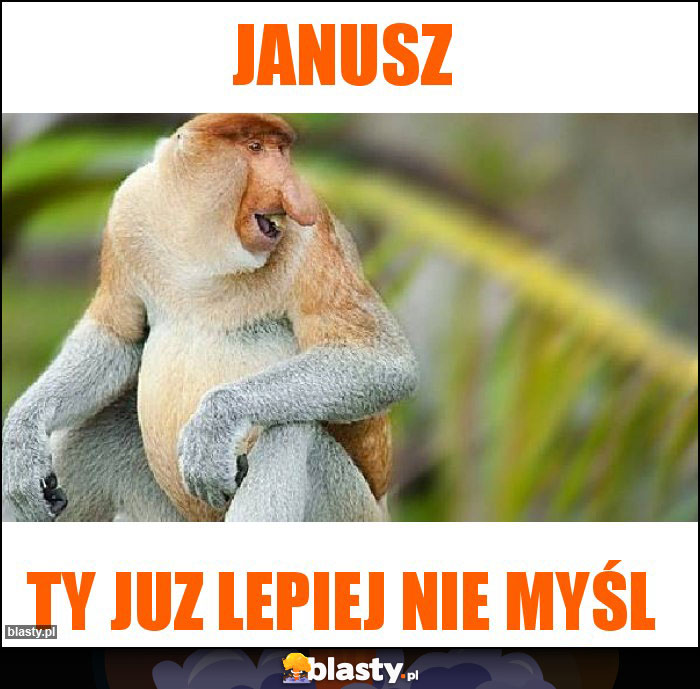 janusz