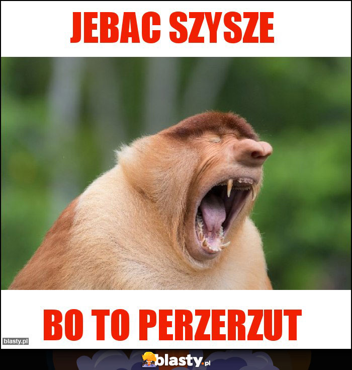 Jebac szysze