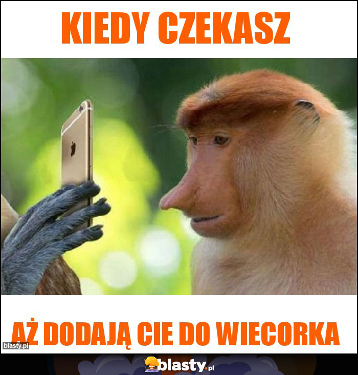 Kiedy czekasz