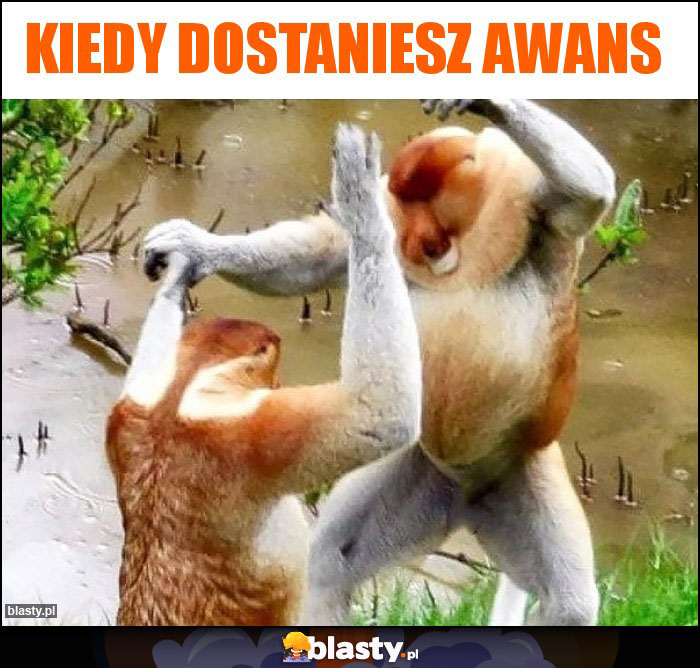 Kiedy dostaniesz awans