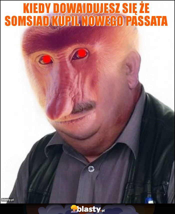 Kiedy dowaidujesz się że somsiad kupil nowego passata