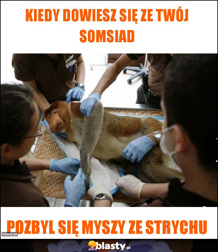 Kiedy dowiesz się ze twój somsiad