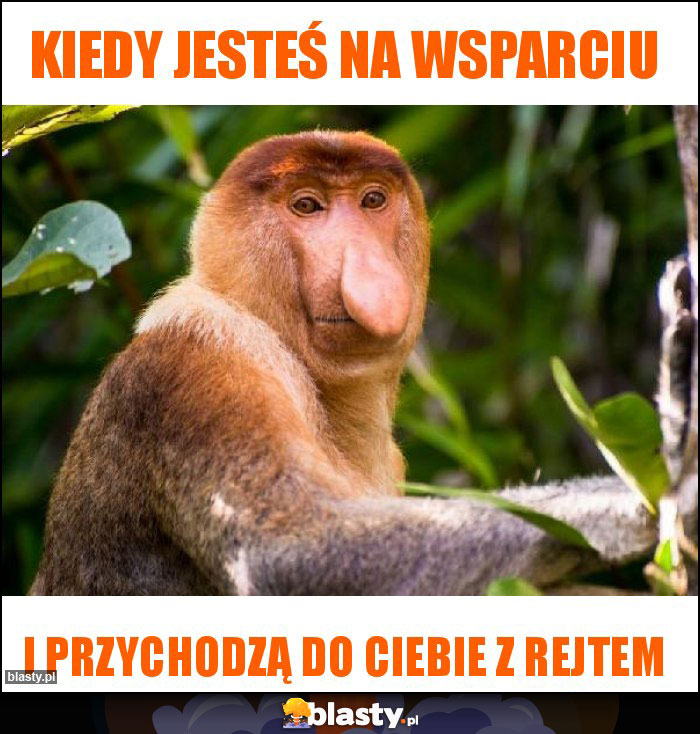 Kiedy jesteś na wsparciu