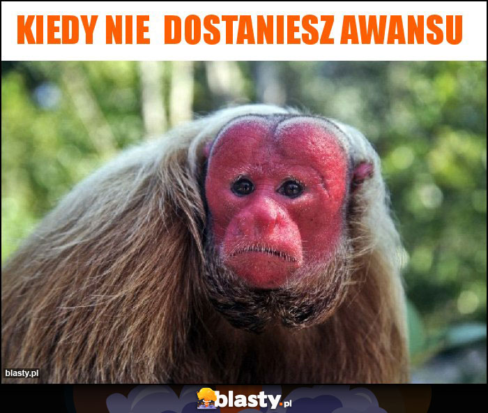 Kiedy nie  dostaniesz awansu