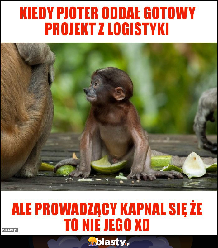 Kiedy Pjoter oddał gotowy projekt z logistyki