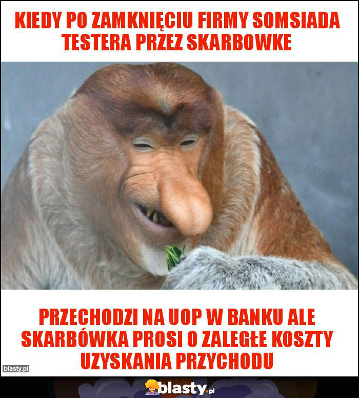 Kiedy po zamknięciu firmy somsiada testera przez skarbowke