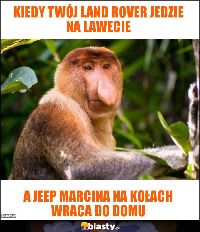 Kiedy twój land Rover jedzie na lawecie