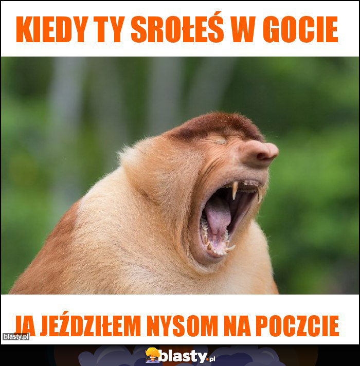 Kiedy ty srołeś w gocie