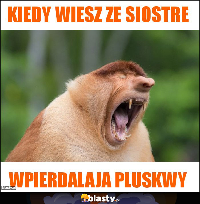 Kiedy wiesz ze siostre