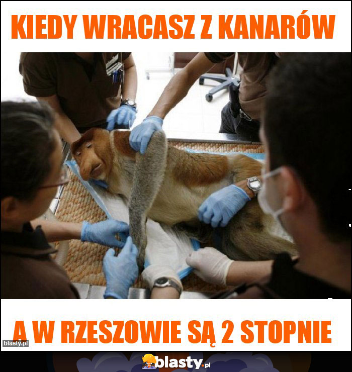 Kiedy wracasz z Kanarów