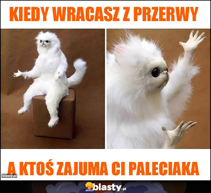 Kiedy wracasz z przerwy