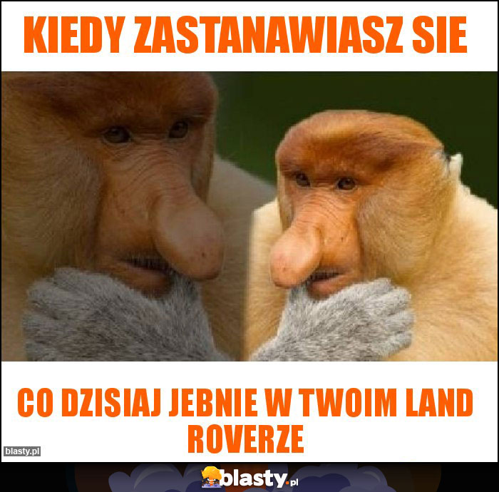 Kiedy zastanawiasz sie