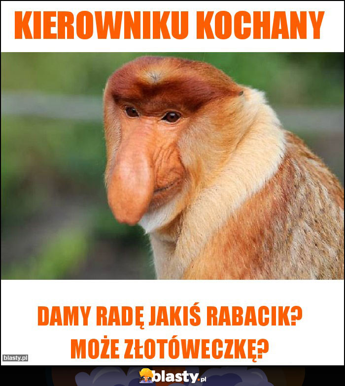 Kierowniku kochany