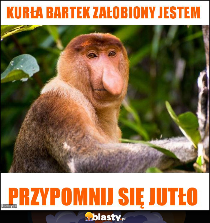 Kurła Bartek załobiony jestem