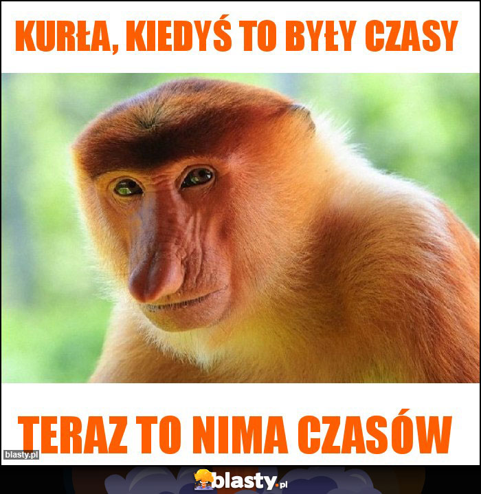 Kurła, kiedyś to były czasy