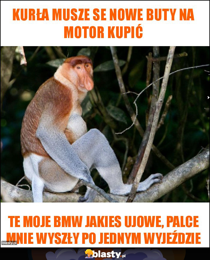 Kurła musze se nowe buty na motor kupić