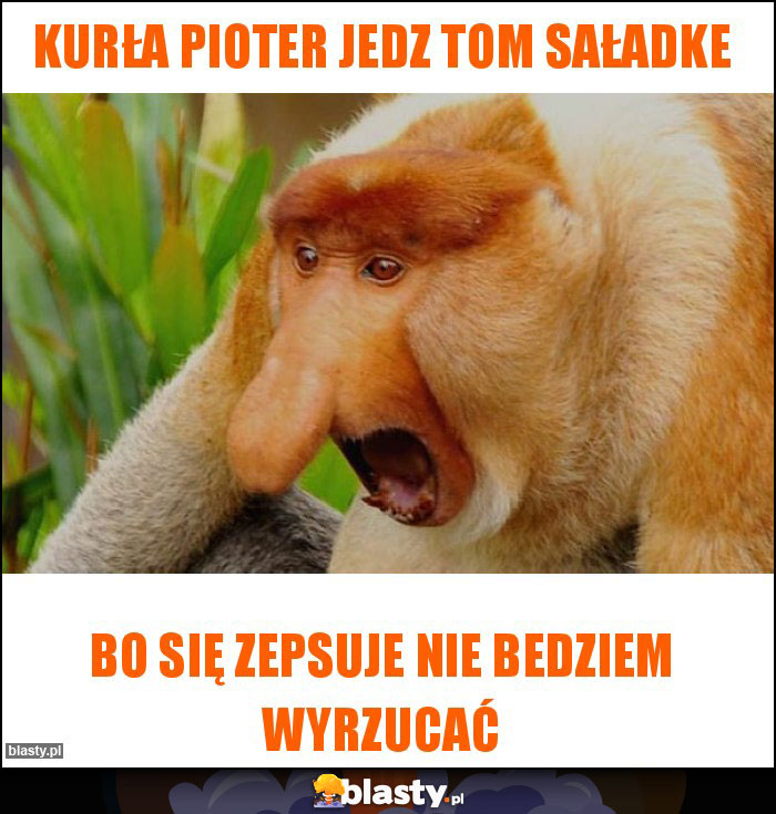 Kurła pioter jedz tom saładke