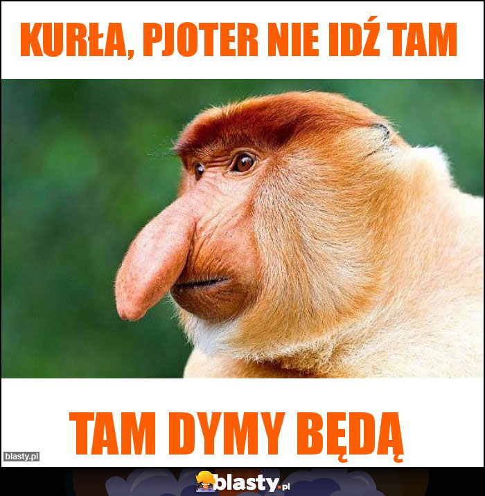 KURŁA, PJOTER NIE IDŹ TAM