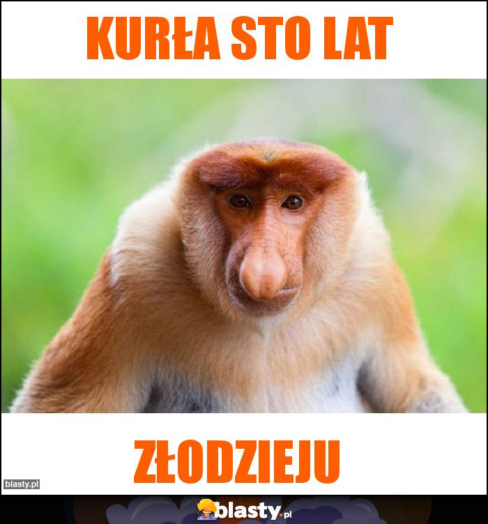 Kurła sto lat