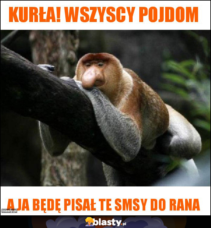 Kurła! Wszyscy pojdom