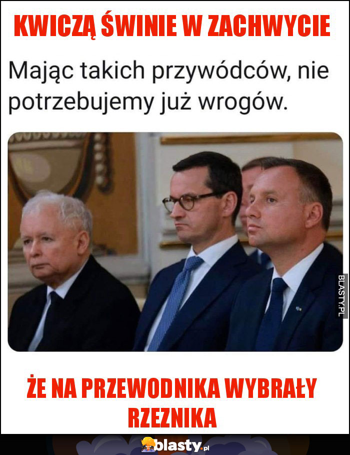 Kwiczą świnie w zachwycie