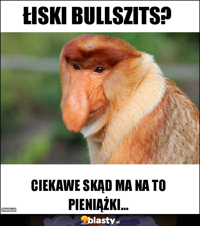 ŁISKI BULLSZITS?