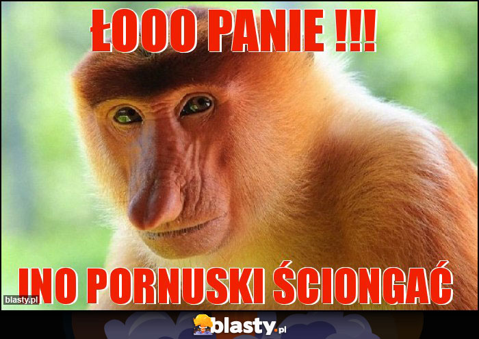 Łooo panie !!!