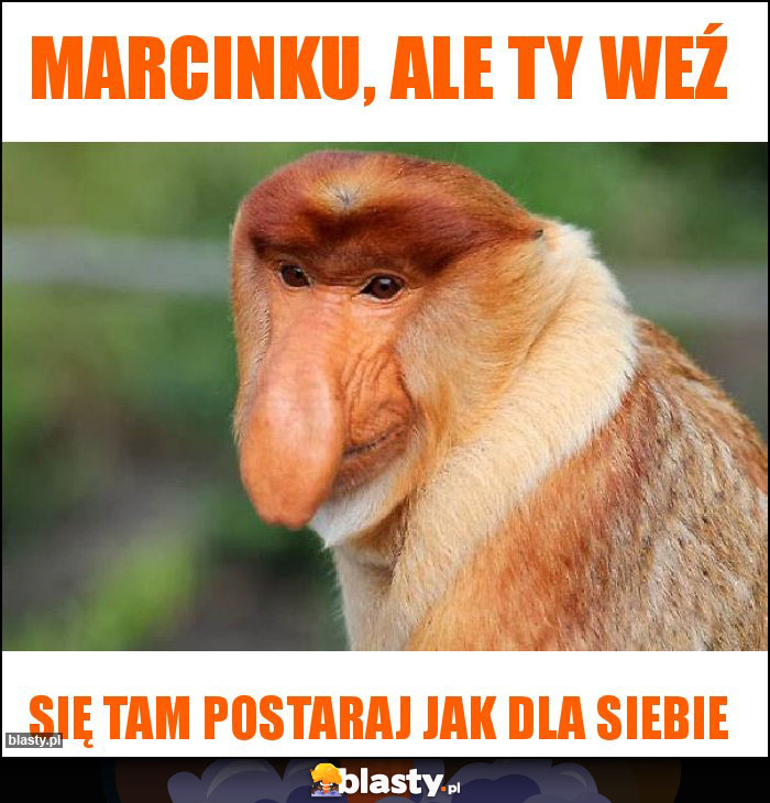 Marcinku, ale Ty weź