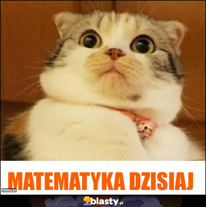 Matematyka dzisiaj