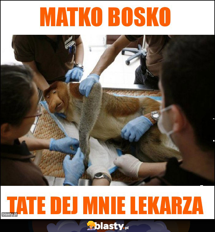 Matko bosko