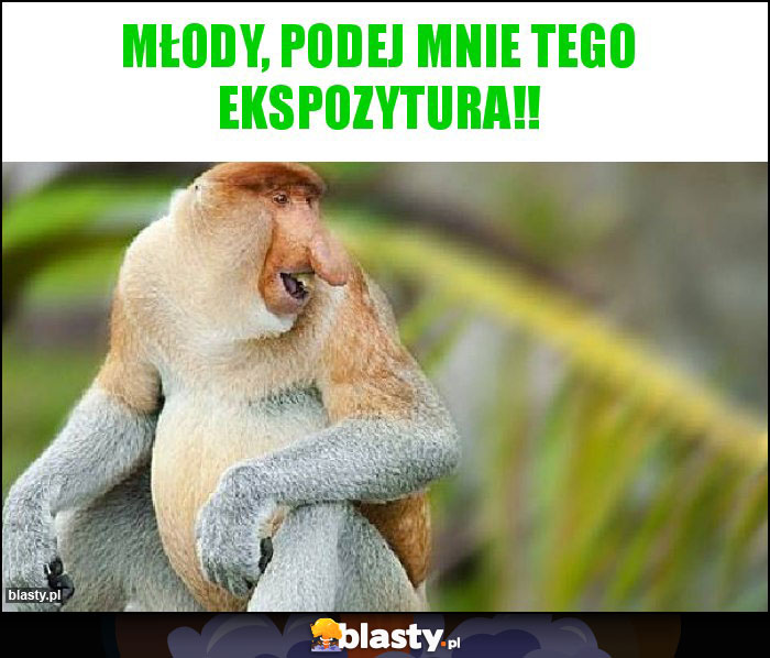 Młody, podej mnie tego Ekspozytura!!