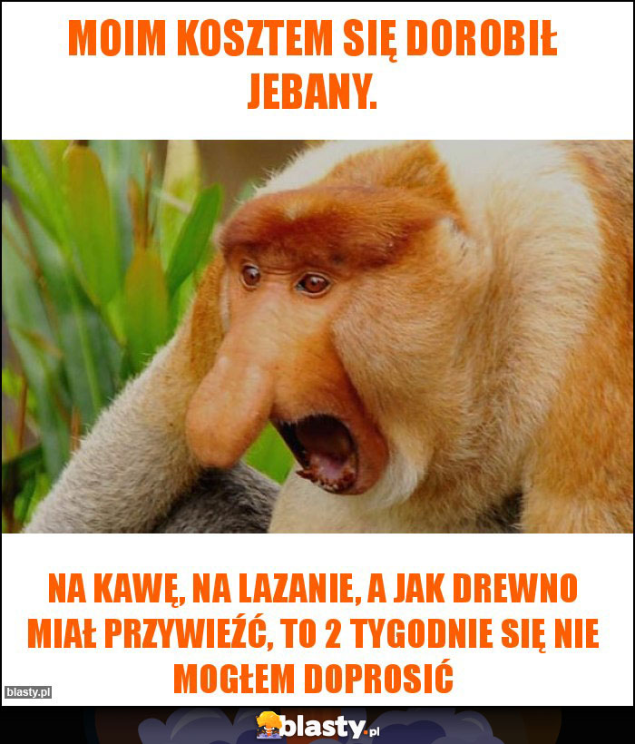 Moim kosztem się dorobił jebany.