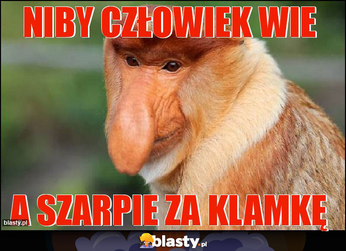 Niby człowiek wie