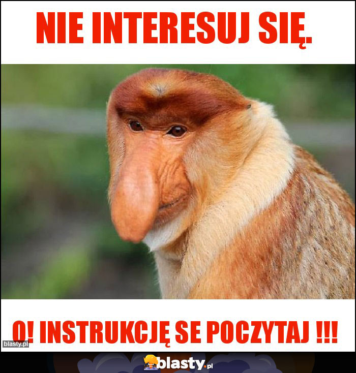 Nie interesuj się.