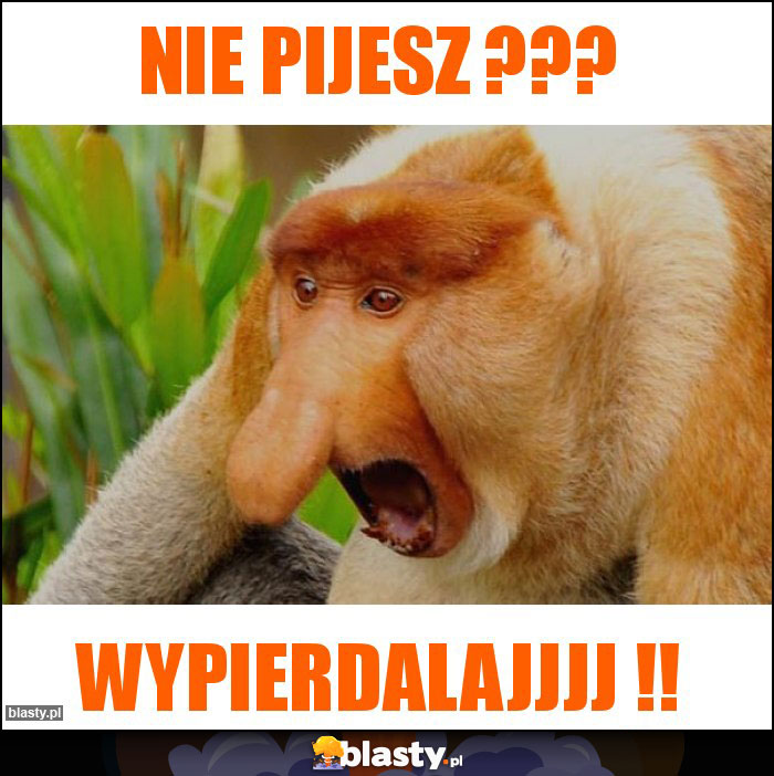 NIE PIJESZ ???