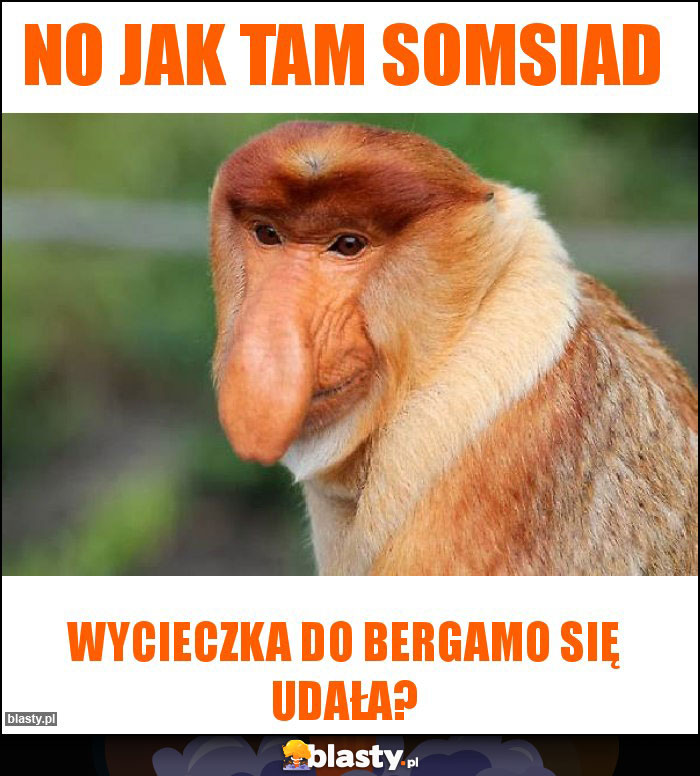 NO JAK TAM SOMSIAD