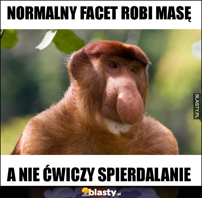 NORMALNY FACET robi masę