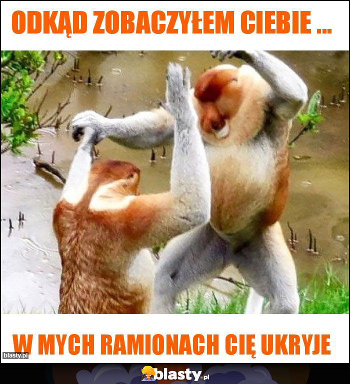 Odkąd zobaczyłem ciebie ...