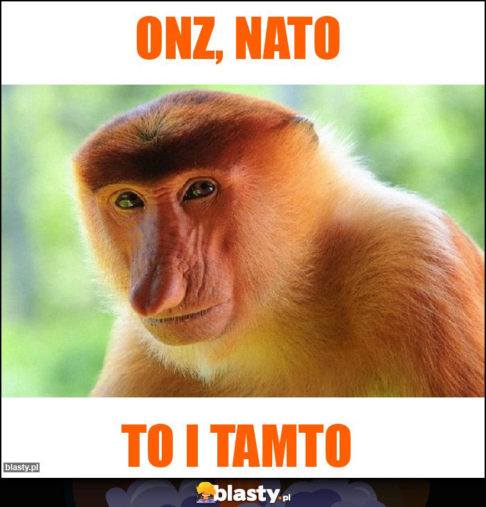 ONZ, NATO