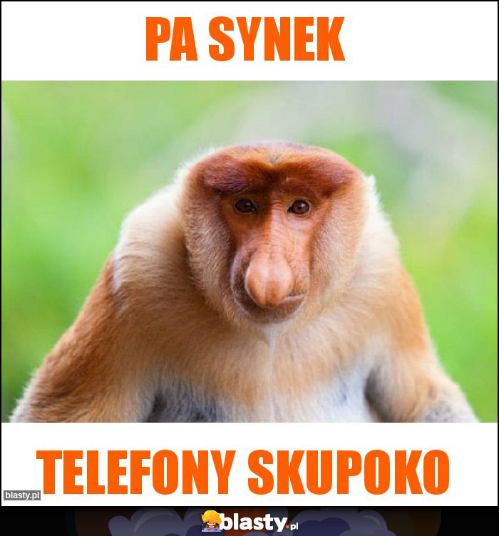 Pa synek