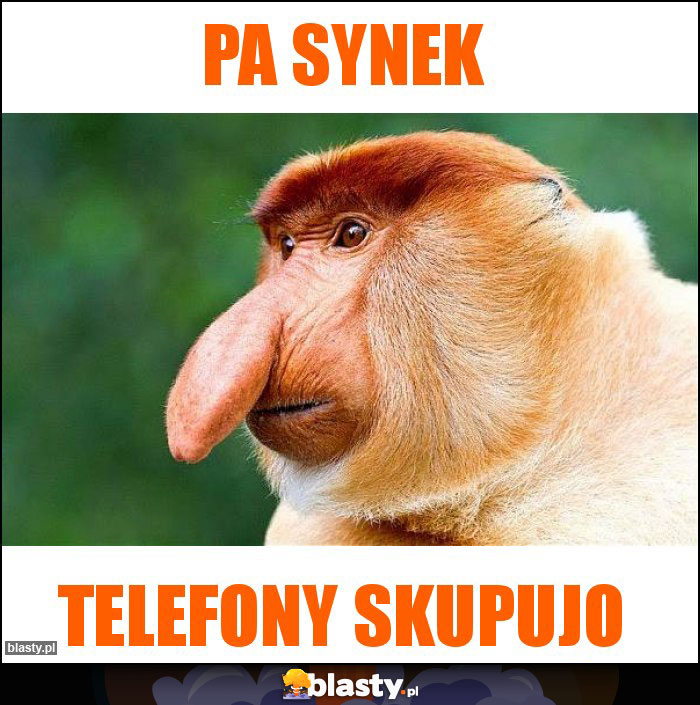 Pa synek