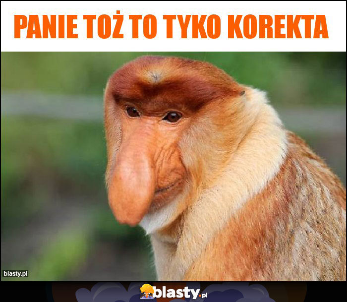 Panie toż to tyko korekta